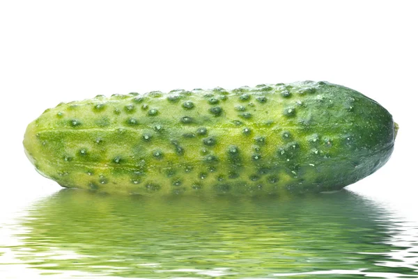 Green cucumber with water drops — Stock Photo, Image
