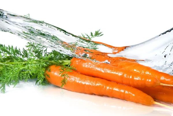 Брызги пресной воды на морковь — стоковое фото