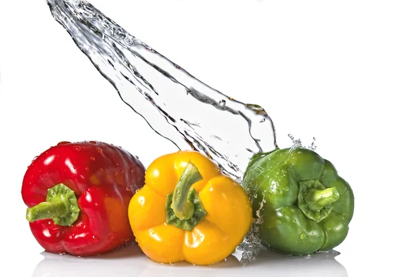 Pepper with water splash — Stock Photo, Image