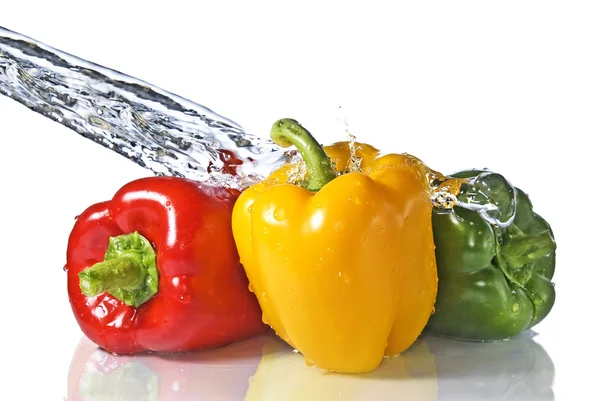 辣椒和香菜与水飞溅 — 图库照片