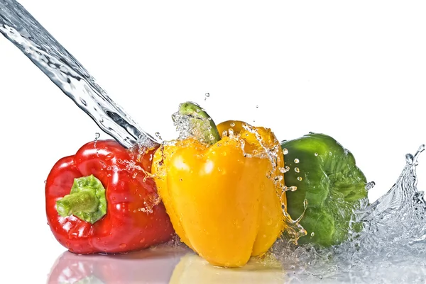 辣椒和香菜与水飞溅 — 图库照片