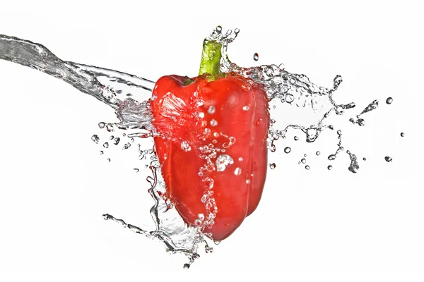 Frischwasserspritzer auf rotem Paprika — Stockfoto