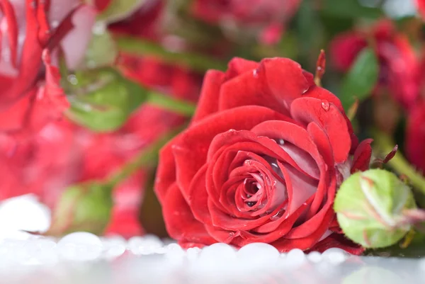빨간 장미 꽃다발 — 스톡 사진