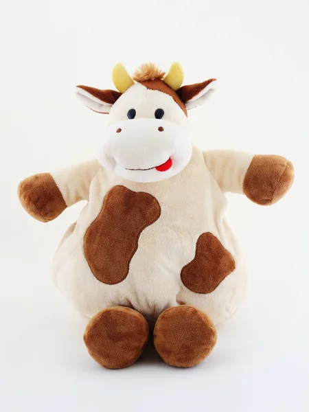Verrückte dicke Kuh auf weißem Rücken — Stockfoto