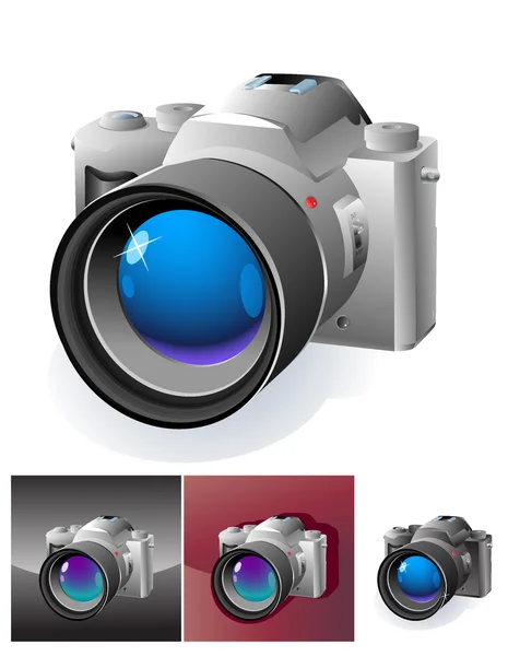 Web botton met professionele slr camera — Stockvector