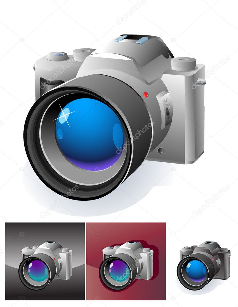Web botton with professional slr camera