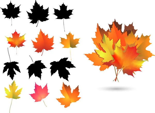 Ensemble de feuilles et de silhouettes d'érable — Image vectorielle
