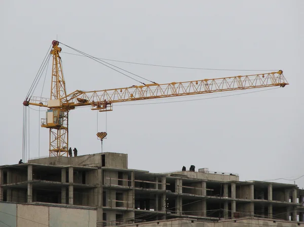 stock image Crane