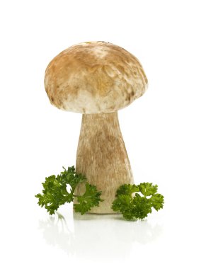 Single cep with parsley clipart