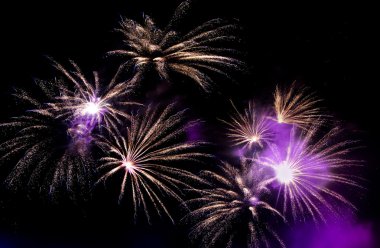 Wonderful Fireworks in the sky at night clipart