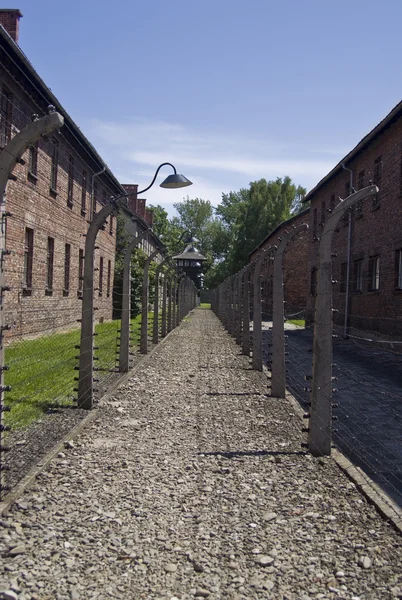 Проволочный забор в лагере Освенцим — стоковое фото