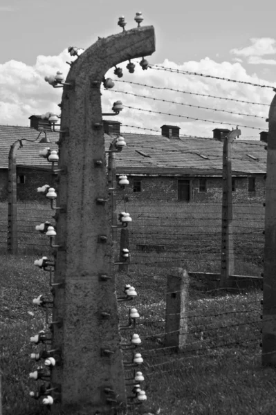 Clôture métallique à Auschwitz - Birkenau — Photo