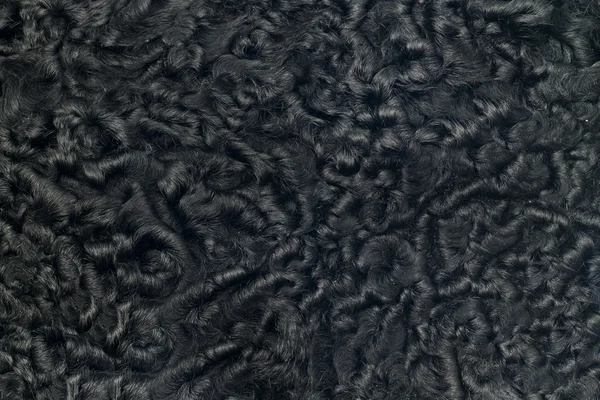 Primo piano di pelliccia di pelle di pecora nera — Foto Stock