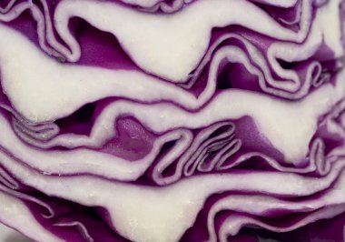 Cabbage - extreme closeup clipart