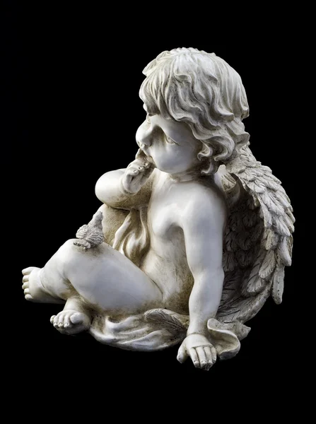 Small angel with a dove — Stock Photo, Image