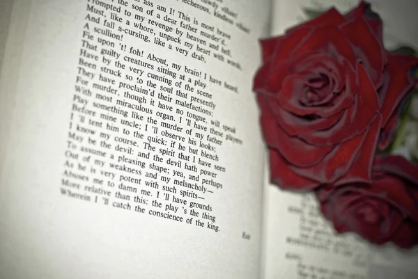 Rosas rojas en el libro — Foto de Stock