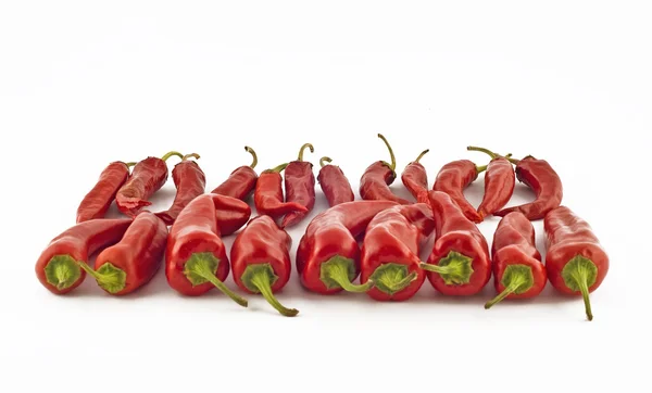 Vörös, meleg, csípős paprika — Stock Fotó