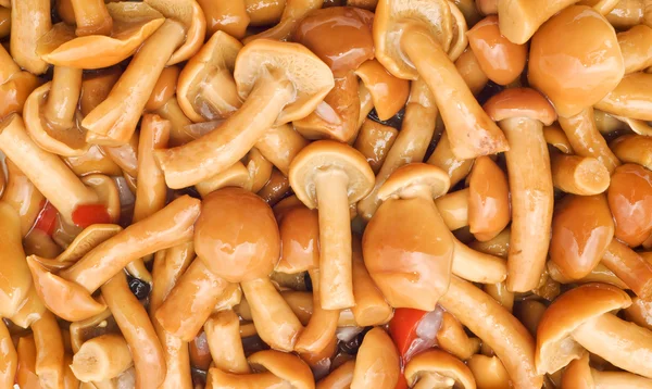 Food background - tasty champignons — Stock Photo, Image