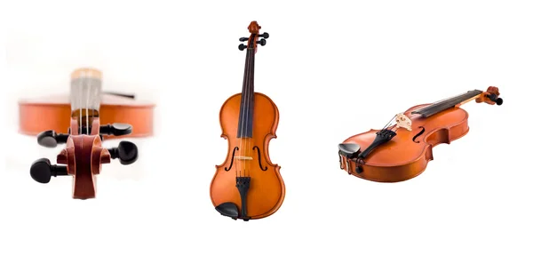 Collage av antika violin visningar isolerade — Stockfoto