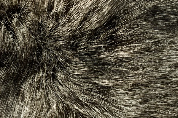 Closeup από γούνα αλεπούς πολικό — Φωτογραφία Αρχείου