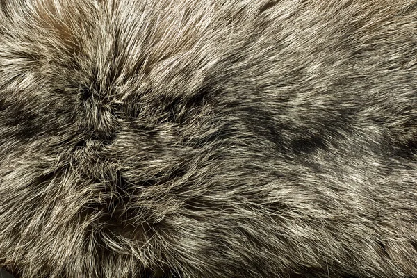 美丽的极地狐狸皮毛的特写 — 图库照片