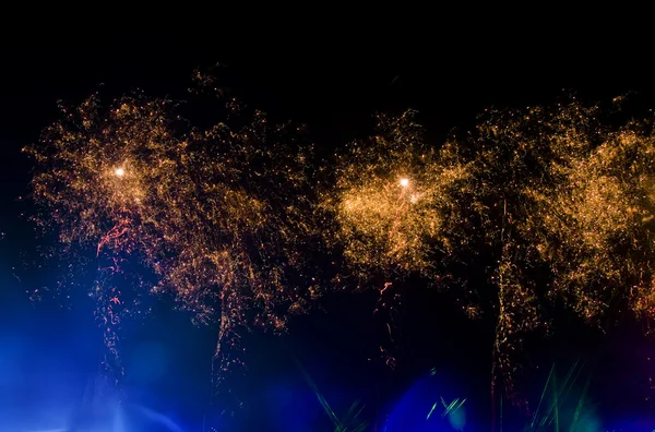 Helder vuurwerk 's nachts — Stockfoto
