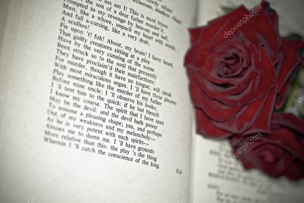 Red Roses on the book