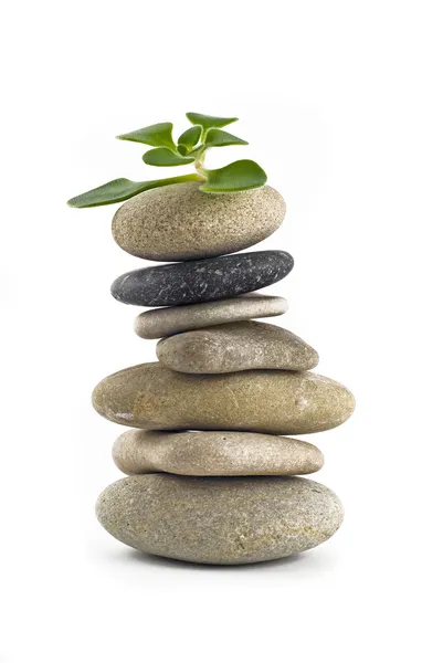Zöld élet - kiegyensúlyozott torony kőből — Stock Fotó
