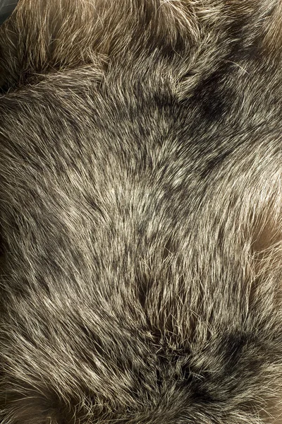 背景-美丽的极地狐狸毛皮 — 图库照片