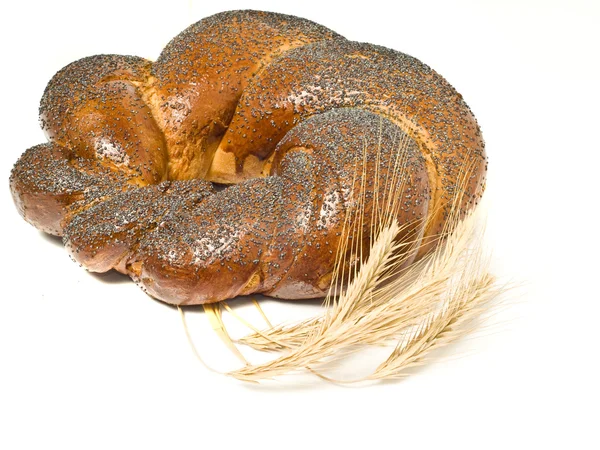 Wheat corn and Tasty bagel — Stock Photo, Image