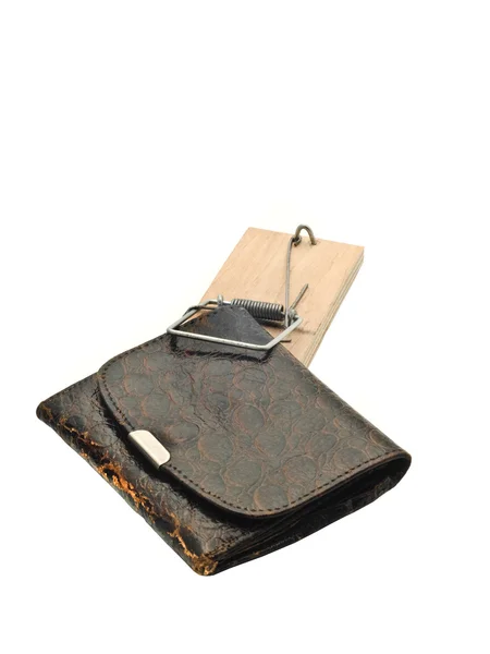 Danger - wallet in mousetrap — Stock Photo, Image