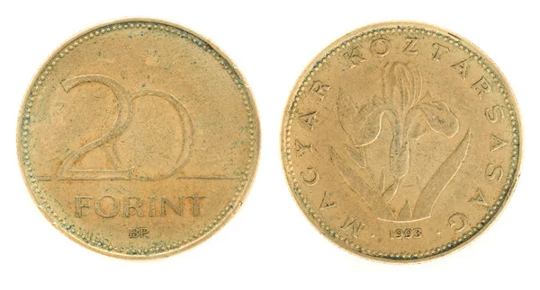 20 Форинт - Угорська гроші — стокове фото