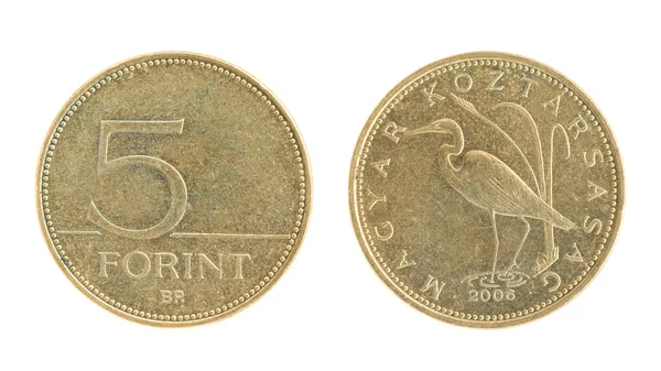5 Forint - dinero húngaro — Foto de Stock