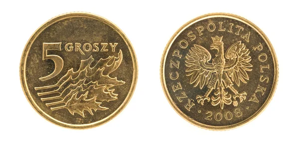 5 groszy - ceny w Polsce — Zdjęcie stockowe
