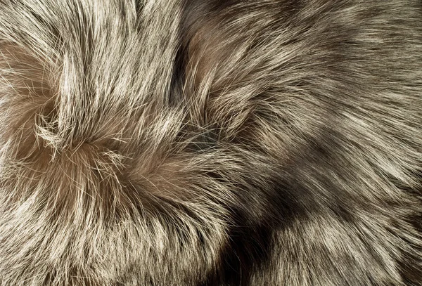 纹理-美丽的极地狐狸毛皮 — 图库照片