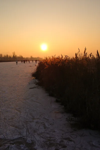 Зима в Нідерландах — стокове фото