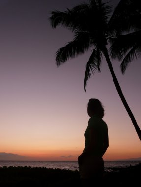 Silhouetted girl under a palm tree clipart