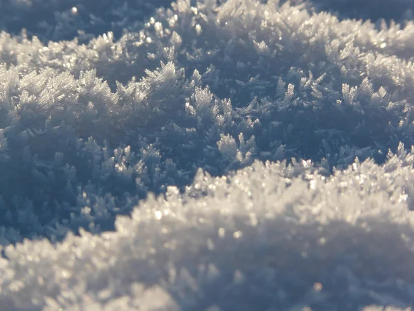 Snow crystals in the sun — Stock Photo, Image