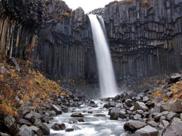 Svartifoss vattenfall, Island — Stockfoto