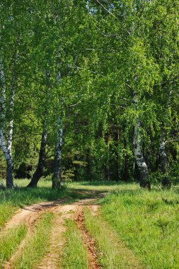 Tahta yol