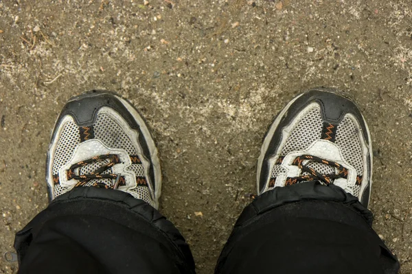 Spor ayakkabı — Stok fotoğraf