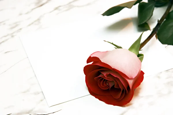 Κόκκινο τριαντάφυλλο και το γράμμα — Φωτογραφία Αρχείου