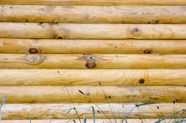 Wooden logs clipart