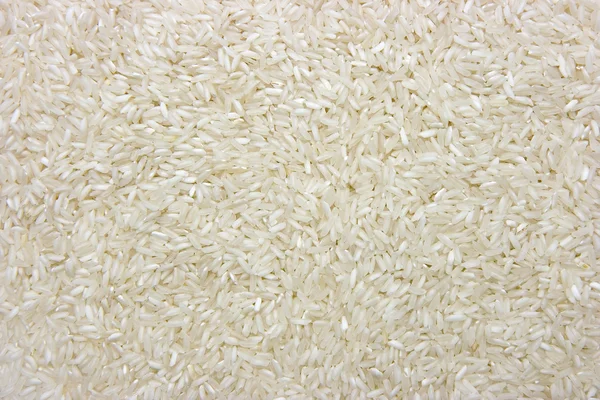 Рис — стокове фото