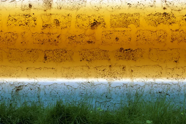 Mauer und Gras — Stockfoto