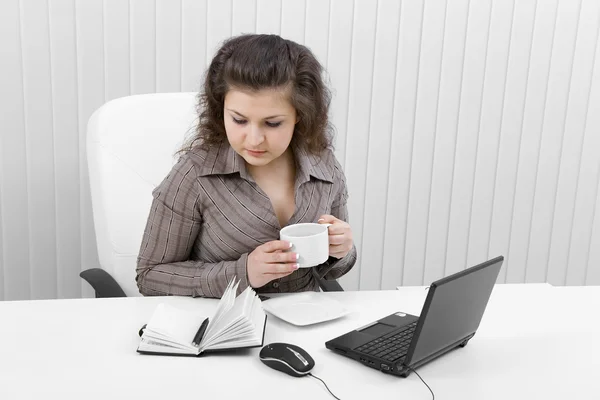 The young business woman at office — Stock Photo, Image