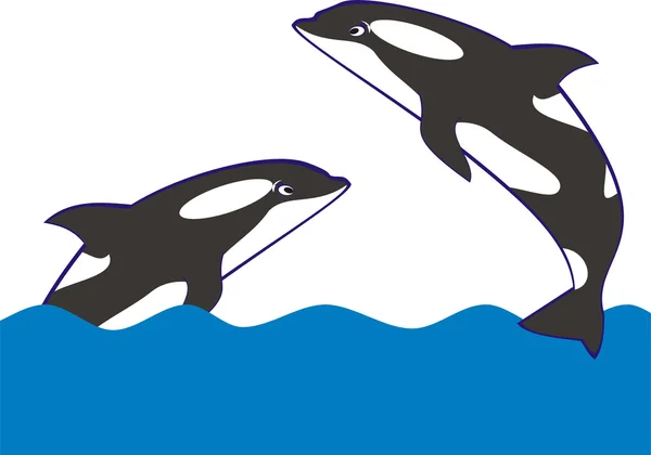 蓝色的插图的杀人鲸 — 图库矢量图片
