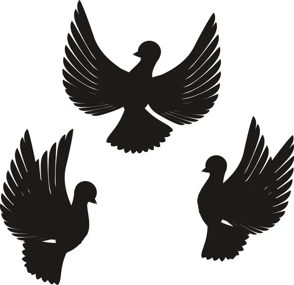 Pigeon Royalty Free Stock Illustrations