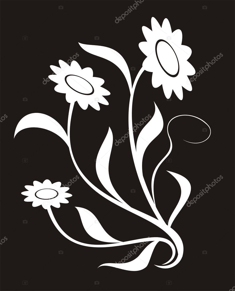 Floral design elements illustration