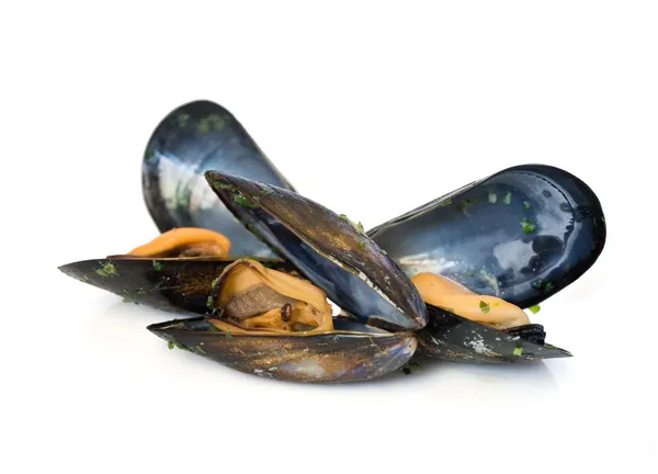 Three mussels — Stock Photo, Image